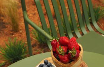 Villa Oasis with Large Pool Athenian Riviera Lagonissi - Foto 22