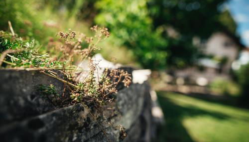 Haus Archaeopteryx – privater Außen-Pool – einzigartig im Naturpark - Foto 5, Garden