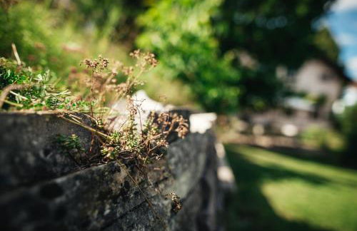 Haus Archaeopteryx – privater Außen-Pool – einzigartig im Naturpark - Foto 5