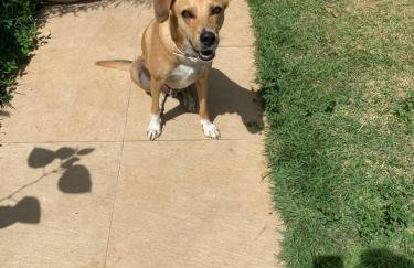 Casa 3 Suites COM Piscina Privativa - ao lado de Vilas do Atlântico! - Foto 35