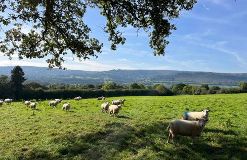 The Cottage - Foto 19