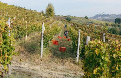 Luxe Villa, All Ensuites & Private Vineyard Views - Foto 39