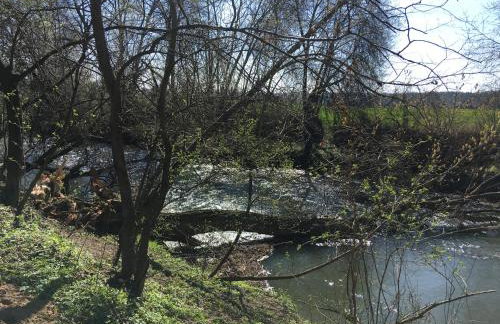 RiverHouse - Foto 19