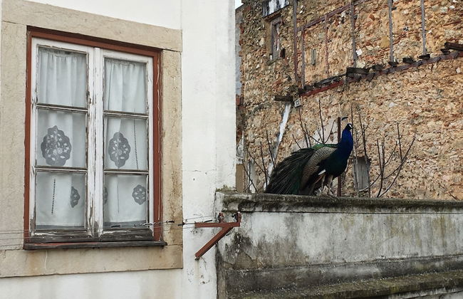 Luxury 5BR Apt Castle Views in HeartofLisbon - Foto 153