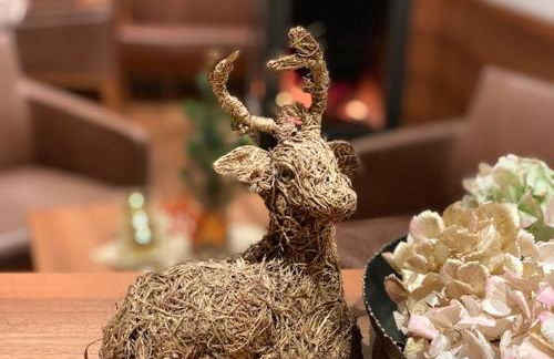 Apparthotel Gartenresidence Nalserhof - Foto 20