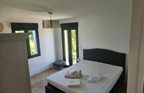 Les oliviers - Foto 16