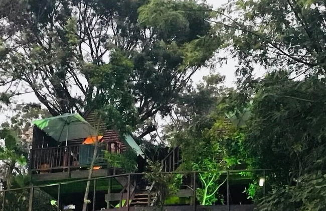 Knysna Lodge Self Catering Accommodation - Foto 19