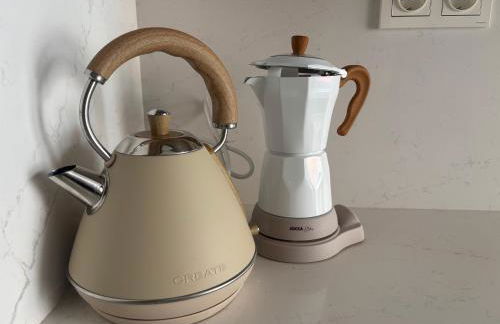 Ágave azul - Foto 13