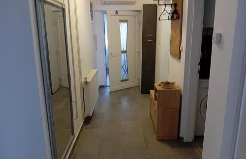 Apartmani Ani - Foto 58