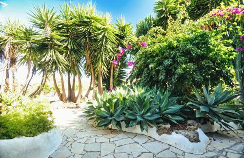 Finca Vino Tinto 5s - Foto 13