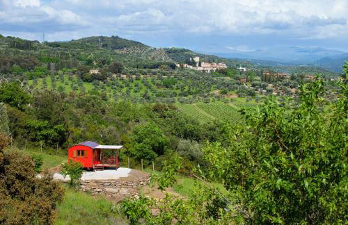 Poggio Diavolino - Suvereto - Foto 48