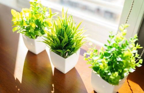 Franklin Suites South Beach - Foto 53