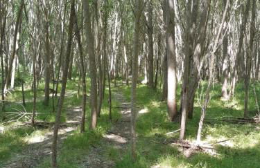 Quinta da Caída - Foto 19