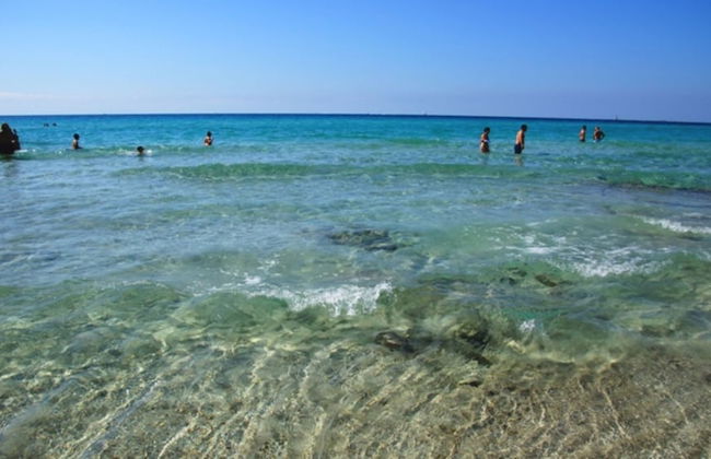 Comfortable Apartment Near the Beach - Photo 30