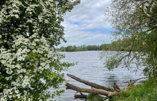 Seekiste Elsfleth - Foto 12