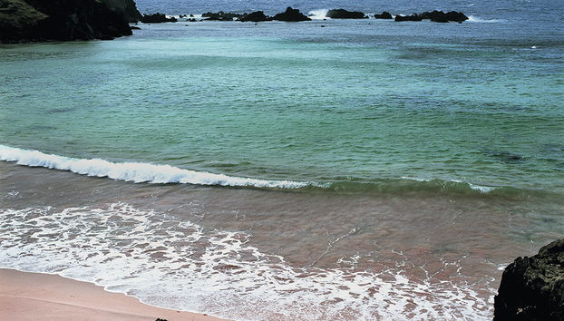 Anakena et Rano Raraku - Excursion d'une journée - Photo 3