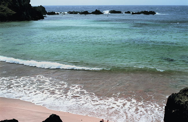 Anakena et Rano Raraku - Excursion d'une journée - Photo 3