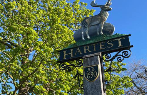 Buttercup Cottage, Hartest - Foto 25