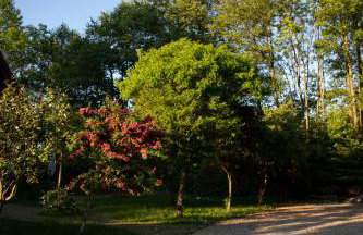 Dom Majówka i Apartamenty Bartoszówka i Michałówka - Foto 51