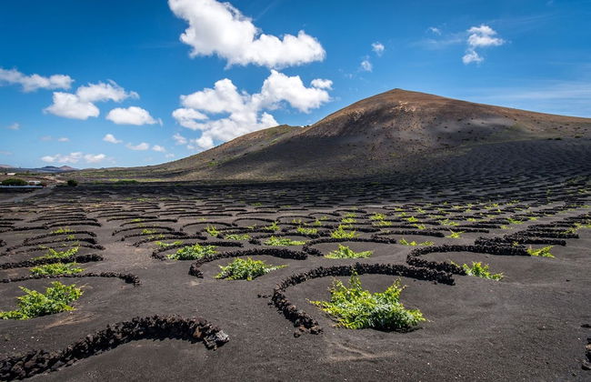 Apartamentos Maribel - Foto 27