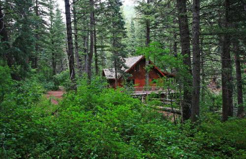 OVER THE RIVER AND THROUGH THE WOODS - Foto 16