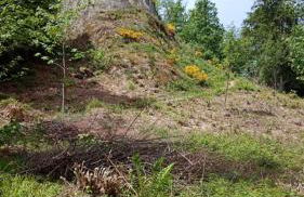 Urlaub auf dem Hänslehof - Foto 30