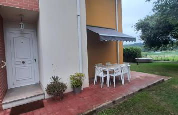 El Gallo Azul - Foto 7