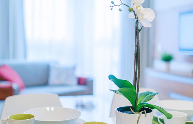 Apartamenty NCNK Marina - Photo 66