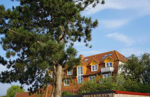 Landhaus Immenbarg, Sternsucher - Foto 10