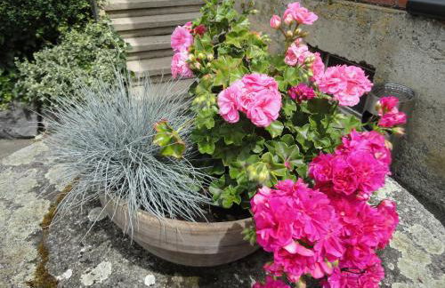 Gasthof Reiterstuben - Foto 31