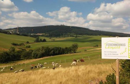 Ferienwohnung Familie Leupold - Foto 33