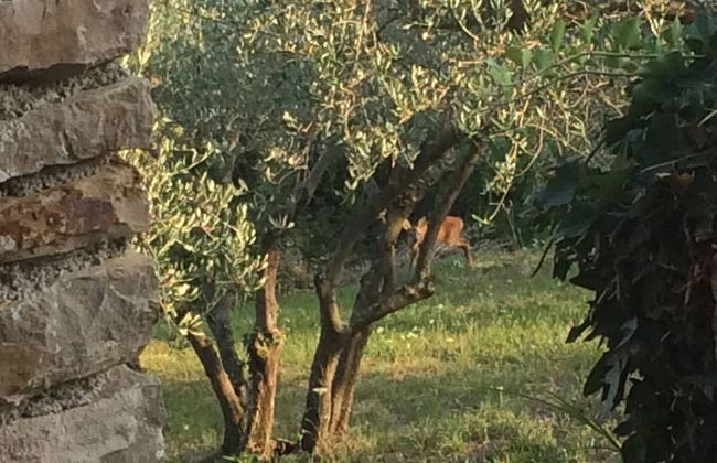 Villa Bella - Foto 28