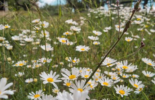 La Muntanera - Eco-friendly apartment - Foto 28