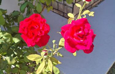 grigoris house - Foto 7