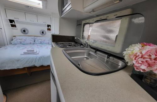 Glamping With Llamas - Foto 66