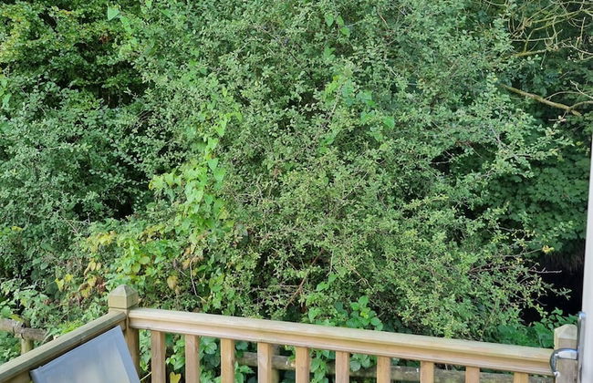 Glamping Hut - Riverview 4 - Photo 10