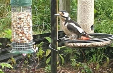 The Old Mill Cottage - Foto 79