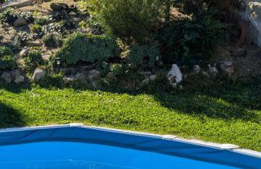 3HOUSE Sol na Eira em Paredes - Foto 49