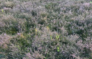 Ferienwohnung Ekaterina - Photo 2