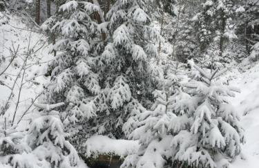Ferienwohnung mit Charme I - Foto 13