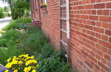 Krötenhof Barförde - Foto 3