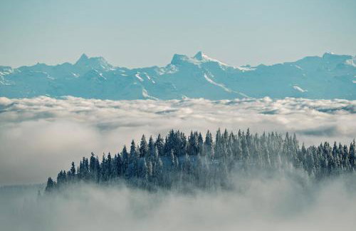 Schwarzwaldglück Loft - Foto 20