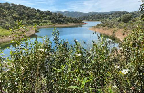 El Capricho - Foto 18