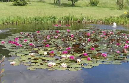 Manoir de La Brunie-Grand Longere - Foto 13