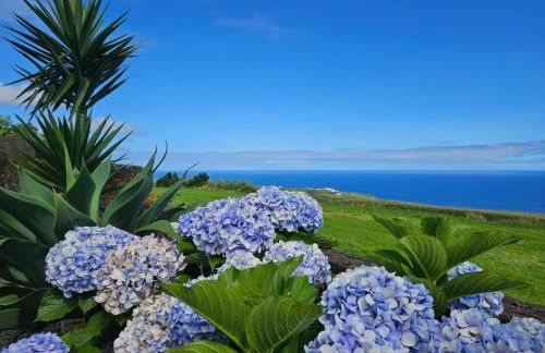 Ocean View - Nordeste - Photo 1