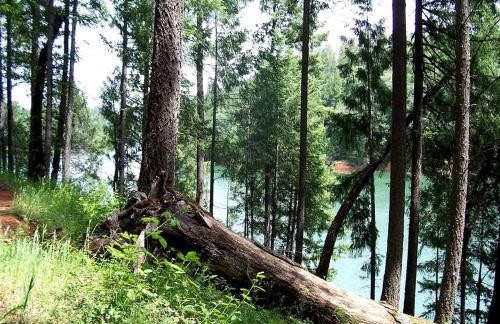 Stunning and Secluded Lakeside Getaway in the Grass Valley of California - Foto 17