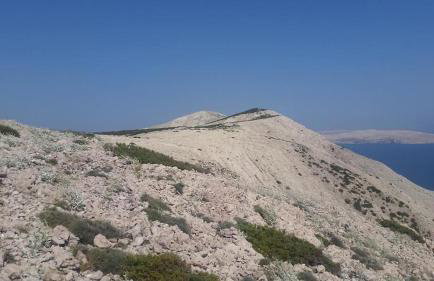 Villa Pag Dubrava Relax with Pool - Photo 63