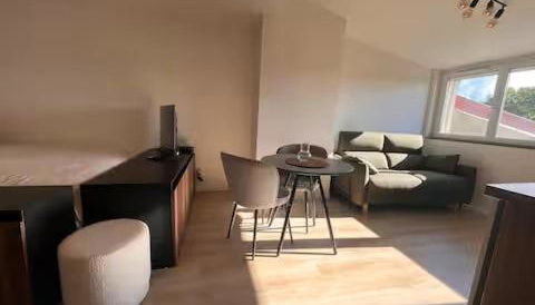 Appartement Le nid sur l'Ain - Foto 4