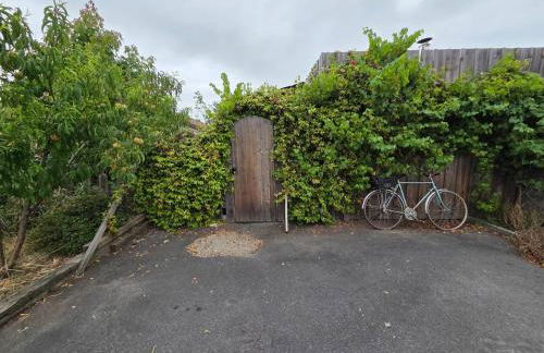 Studio bois avec terrasse et jardin bassin et océan - Foto 12