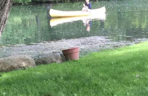 Picturesque Cabin Retreat with Private Sauna near New Richmond, Wisconsin - Foto 16